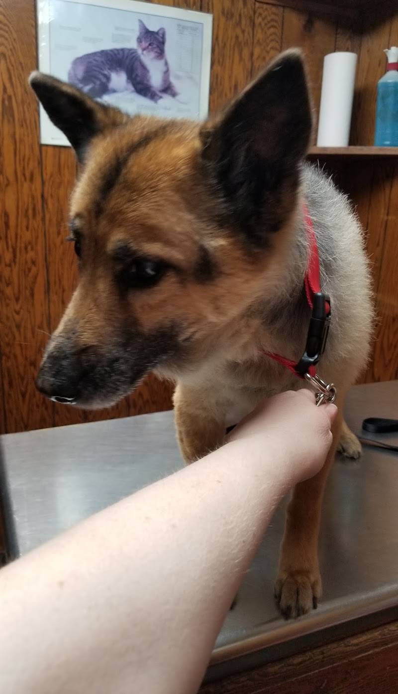 Booneville Veterinary Clinic