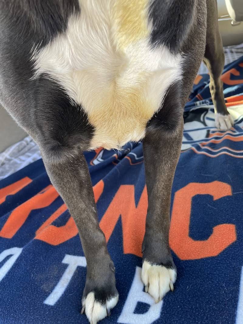 Booneville Veterinary Clinic